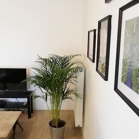 Appartement Proche Chu Avec Balcon Et Parking Rijsel Buitenkant foto
