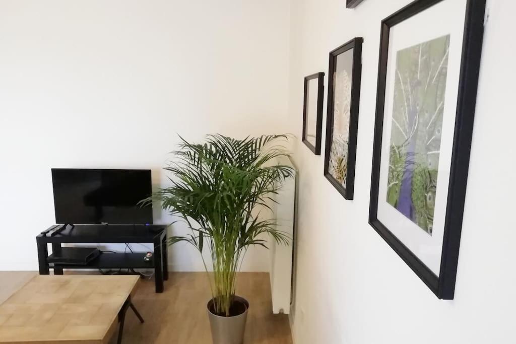 Appartement Proche Chu Avec Balcon Et Parking Rijsel Buitenkant foto