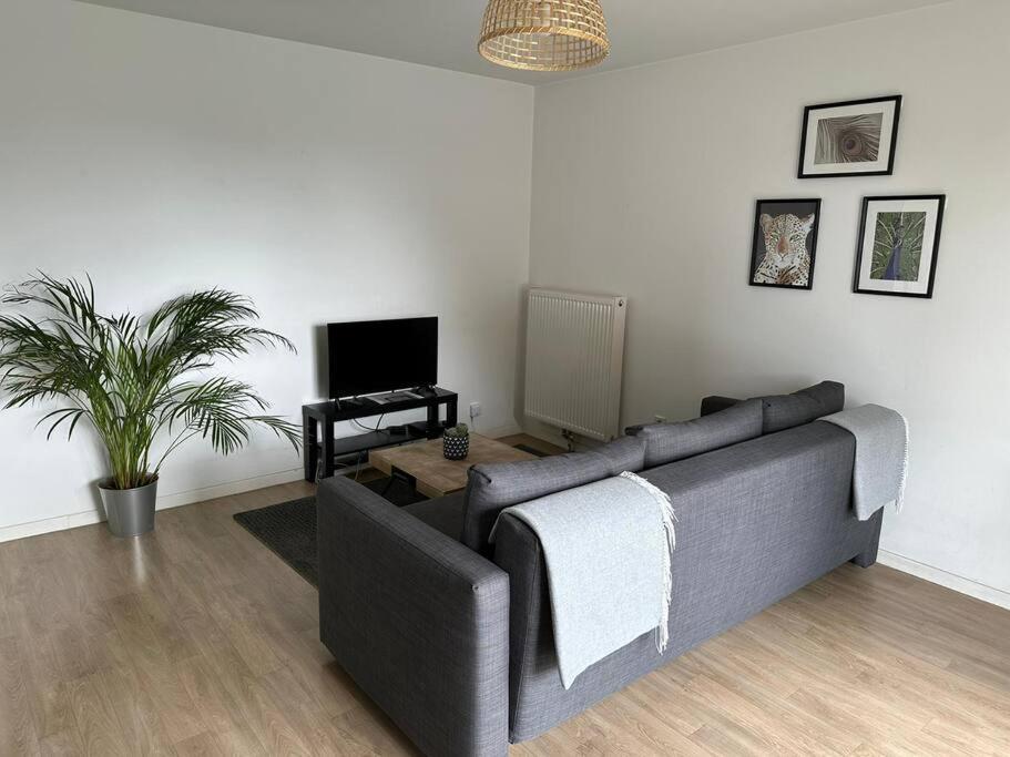 Appartement Proche Chu Avec Balcon Et Parking Rijsel Buitenkant foto